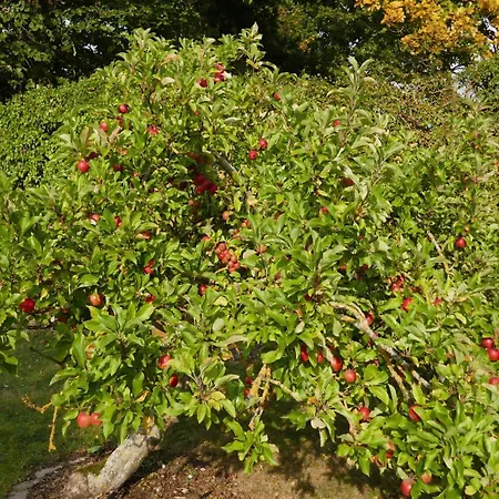 Tatil Evi In Fehmarn Ot Koependorf Kopendorf