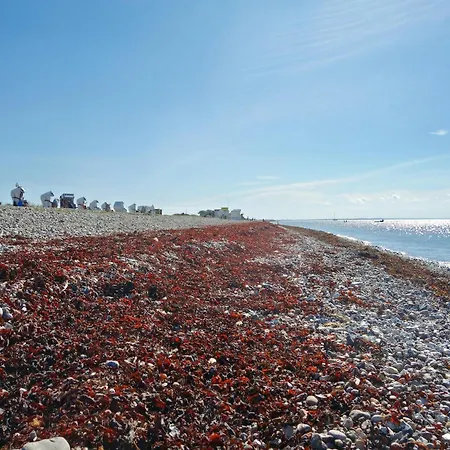 Tatil Evi In Fehmarn Ot Koependorf *